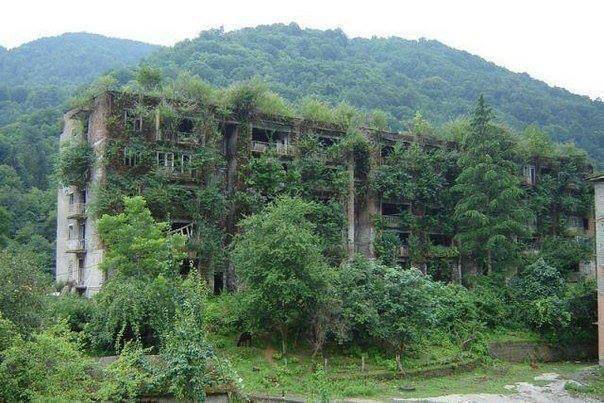 When Nature Takes Its Area Back
